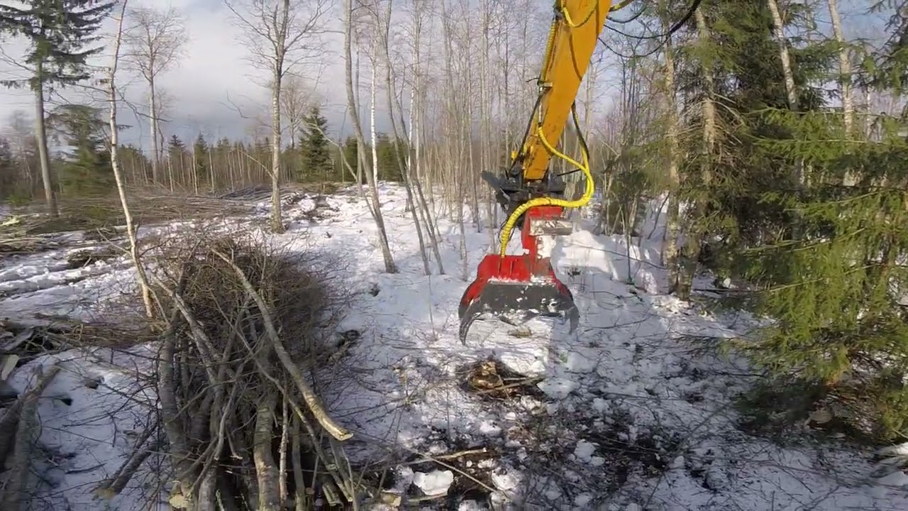 JCB JS130LC & MÕISAKÜLA SKORPION 3010 Tree Shear