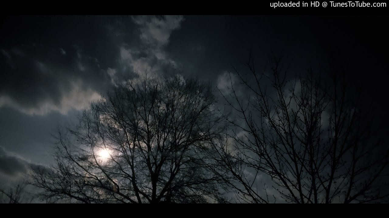EGOLESS - Roots 303