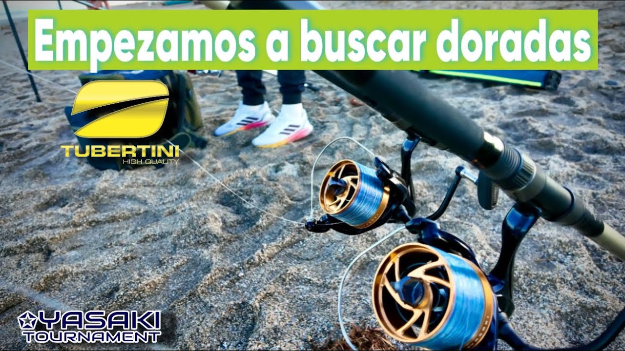 💛 EMPEZAMOS A BUSCAR DORADAS CON EL PRIMO SURFCASTING 🖤