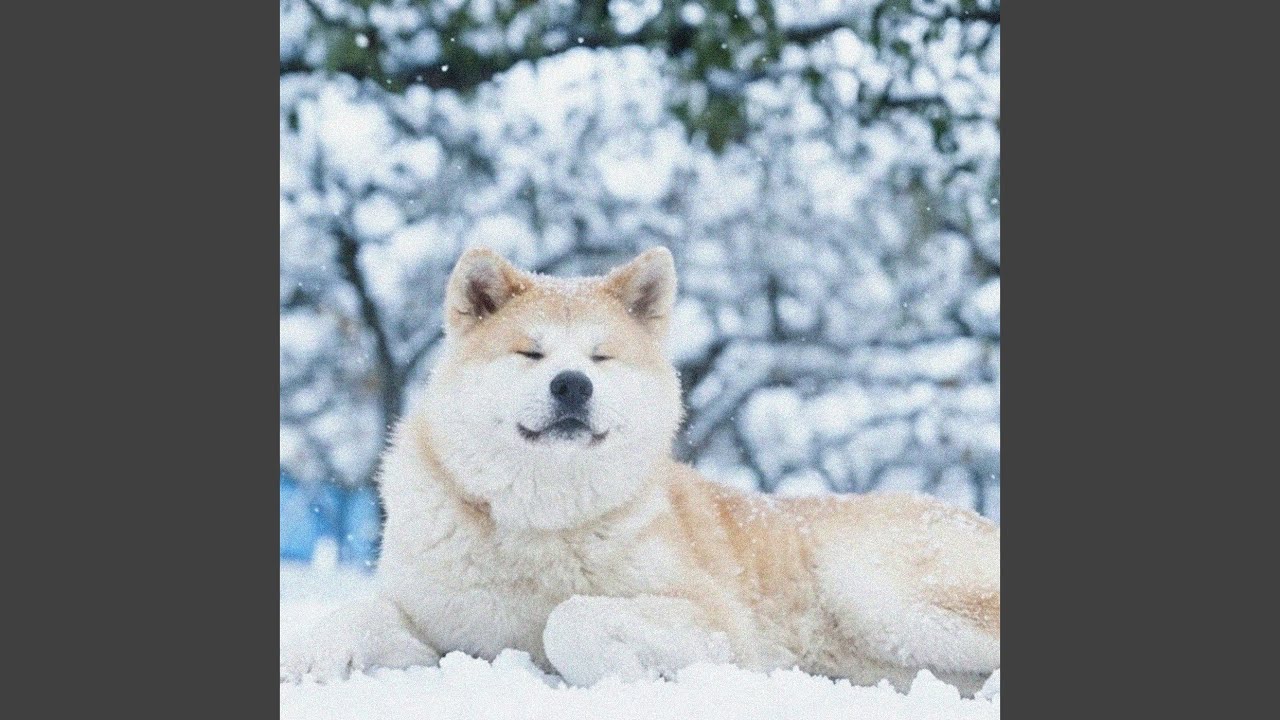 迷った君に出会った日から