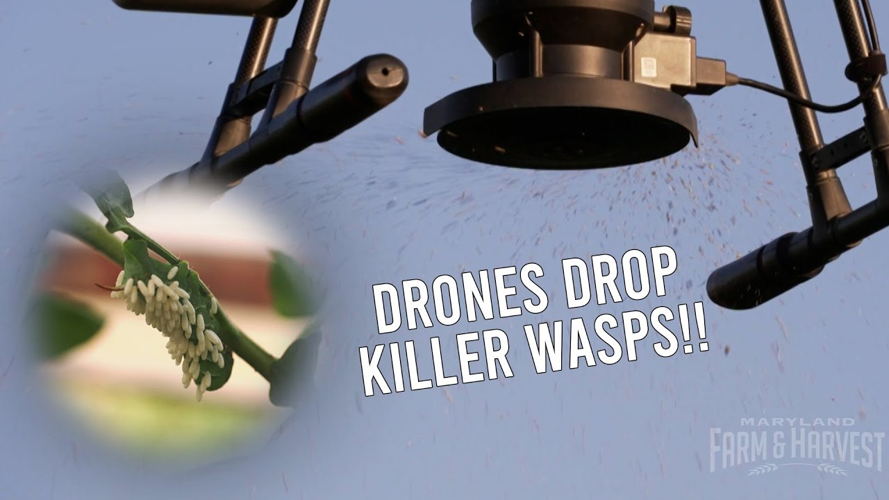 Are Drones the Future of Pest Control? | MDF&H