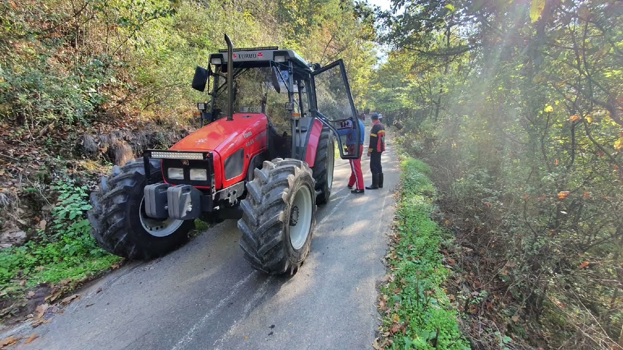 Massey Ferguson 4245 Turbo i vitlo Gvozden 8 tona - Izvlačenje hrastove klade