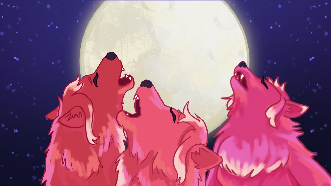 KONEKOŁAKOWY MARATON! Awoo!🐺🌘 • ROBLOX