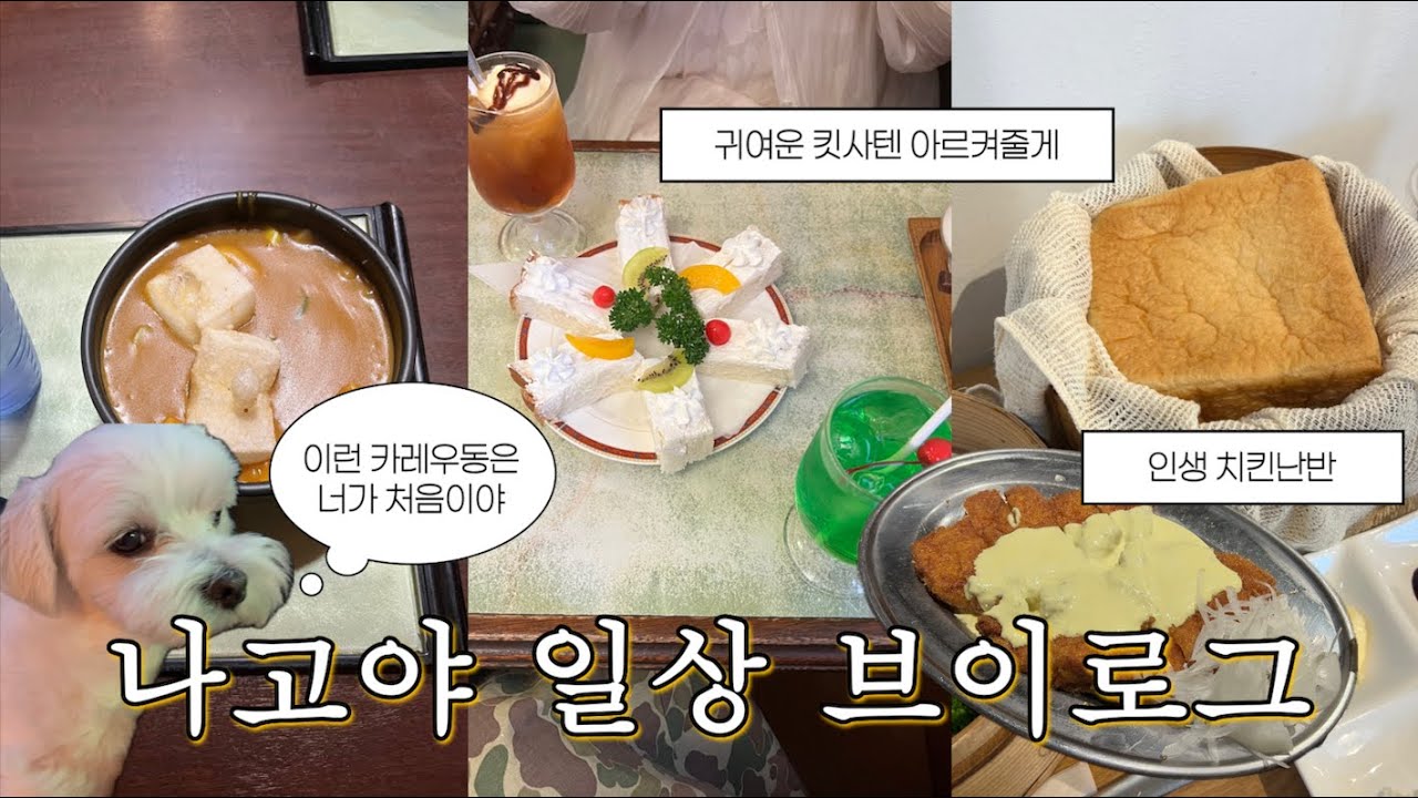 字幕付き) Nagoya vlog 먹는 거 빼면 시체인 나고야 일상 브이로그.. 나고야 된장 돈가스, 카레우동, 킷사텐, 치킨난반