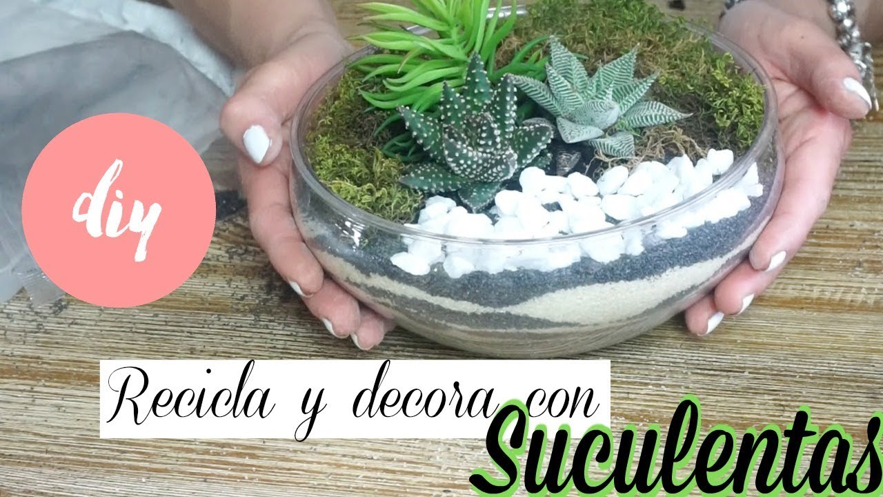 Adornando la CASA con Suculentas  🌵| RECICLANDO ENVASES  Y DECORANDO  !