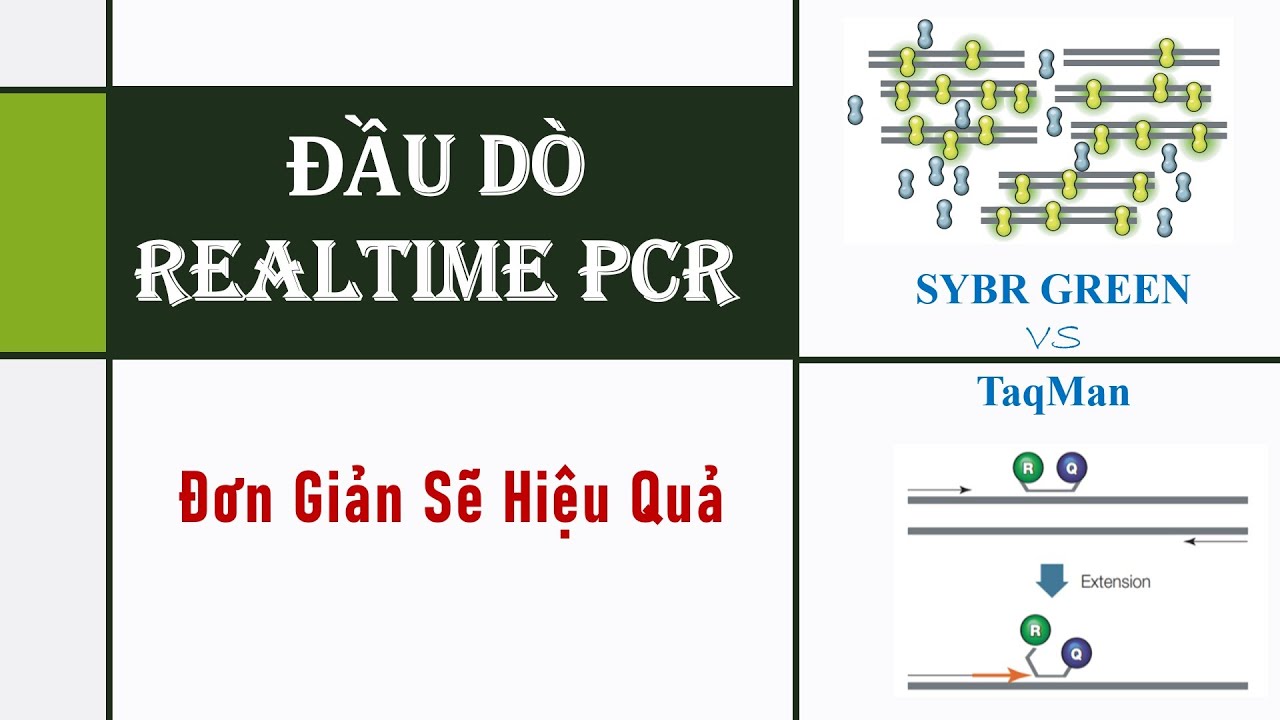 Đầu dò cho Realtime PCR | Đơn giản sẽ hiệu quả là chân lý | PCR ABC