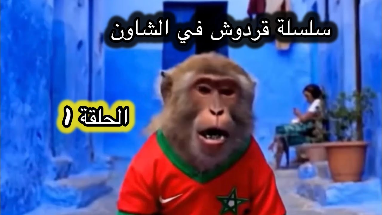 سلسلة قردوش في الشاون الحلقة 1