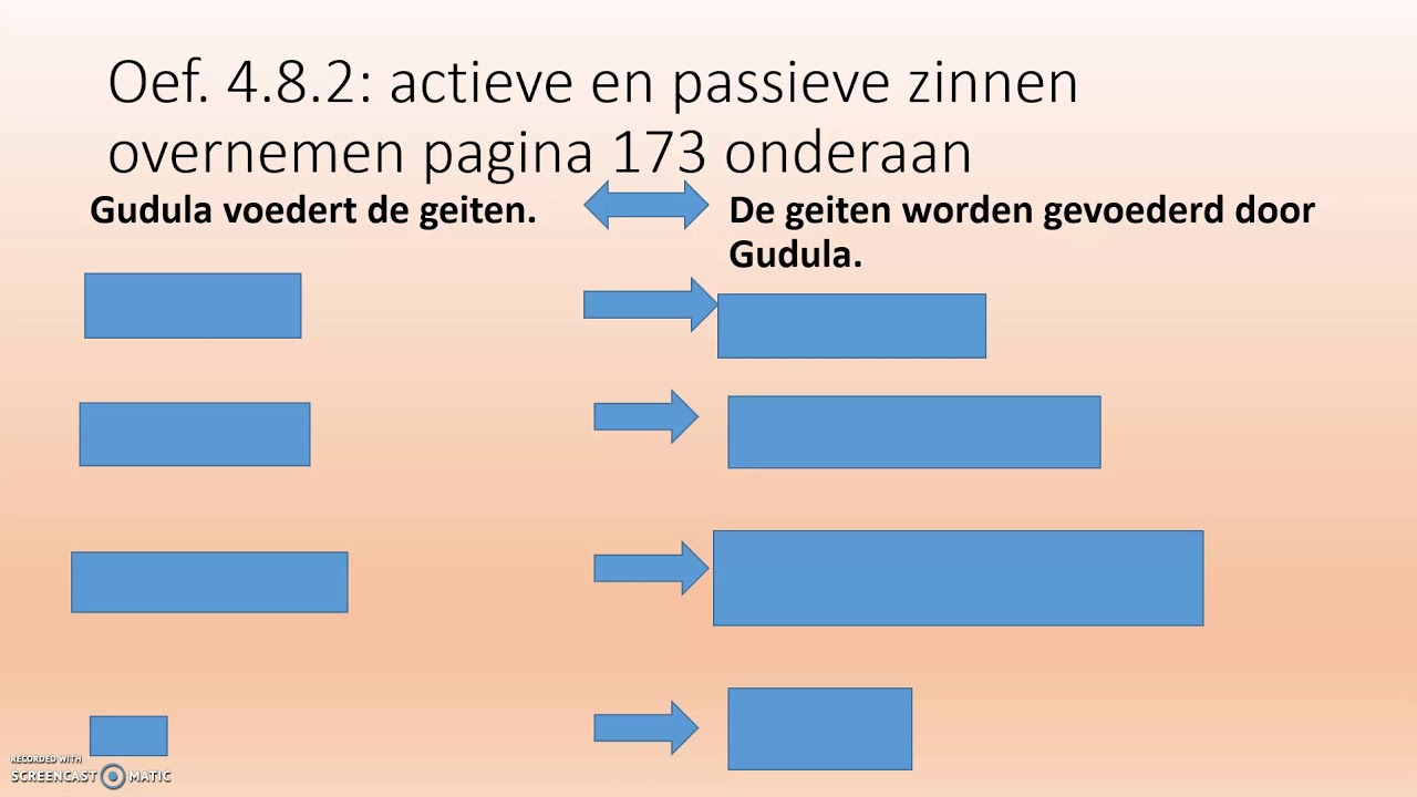PASSIEF IN HET NEDERLANDS