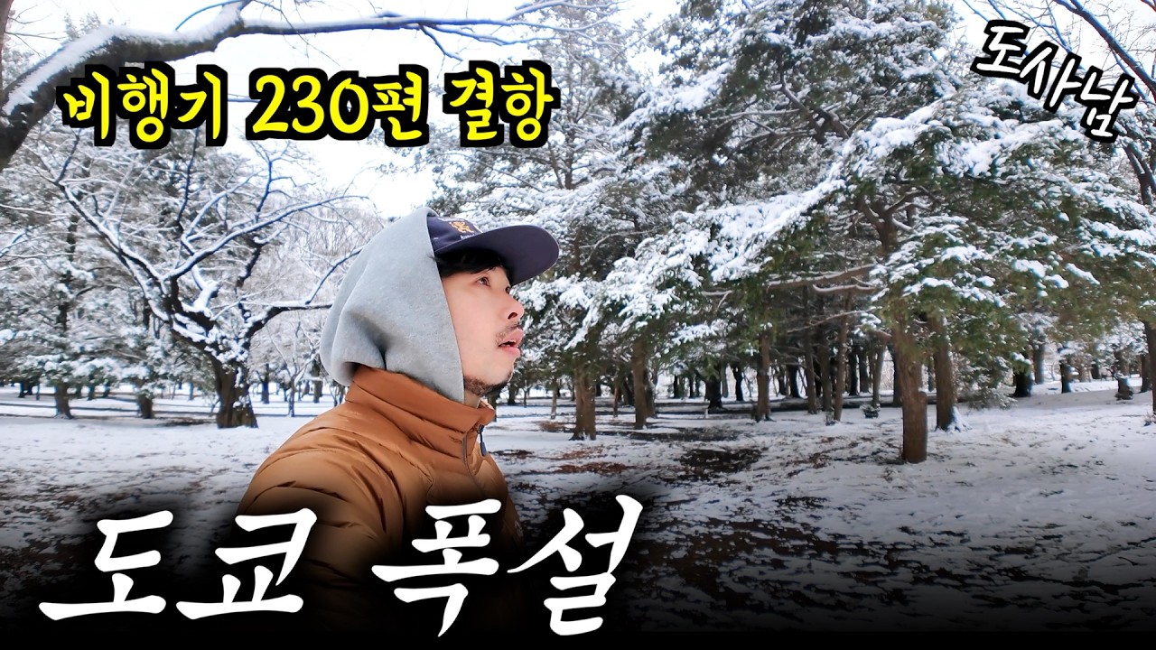 몇년 만에 폭설❄️내린 도쿄🗼 5cm만 싸여도 교통 마비⁉️