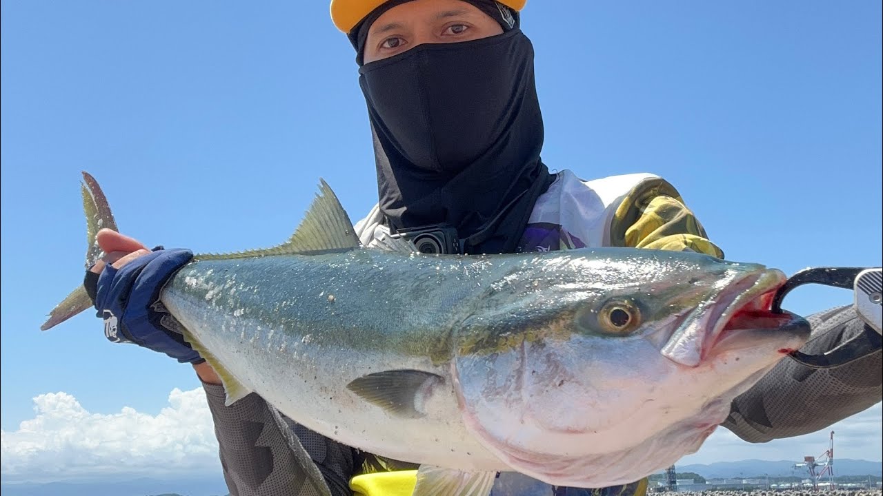 [青物][いわき市]Daiwa Dragger X 100MH ワラサ / タチウオ/ヒラメ！！！July 22 2023
