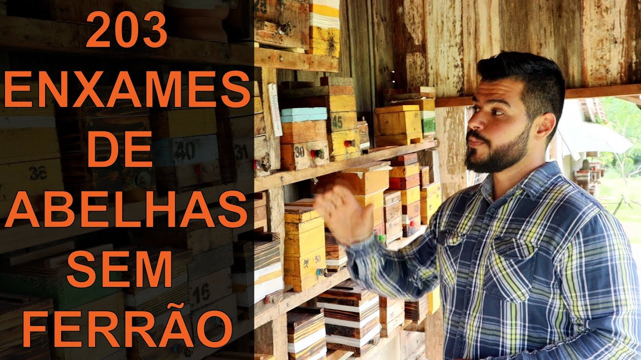 MEU MELIPONÁRIO RURAL - 12 ESPÉCIES DE ABELHAS NATIVAS