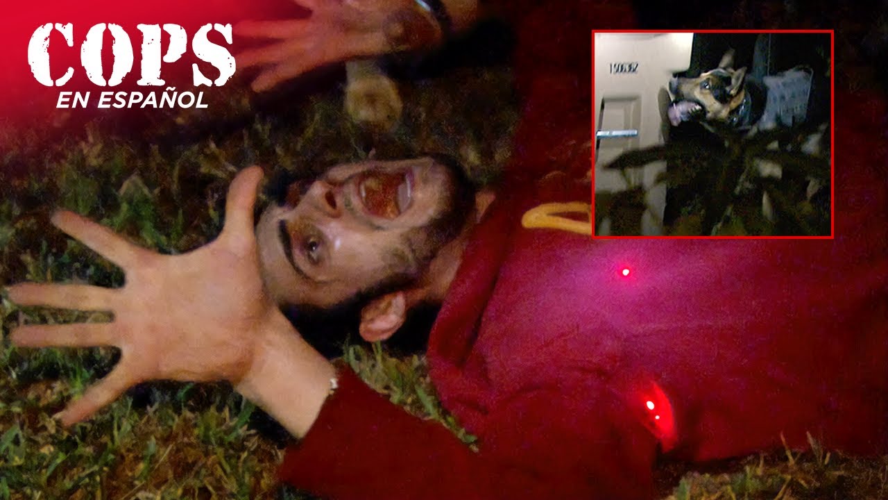 Policía canina detecta a sospechoso | Temporada 30 - Episodio 01 | COPS en ESPAÑOL