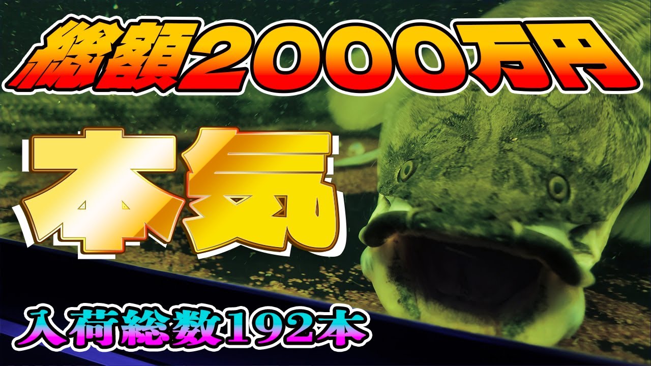 総額2000万円のポリプ！本気のベイサイドアクア！入荷個体一挙公開！
