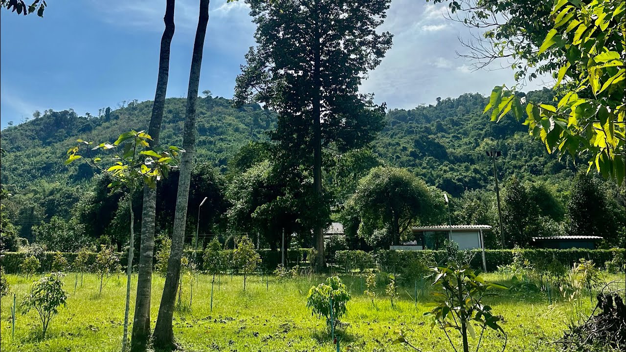 ที่สวน วิวเขาล้อมรอบ เขาพระ นครนายก