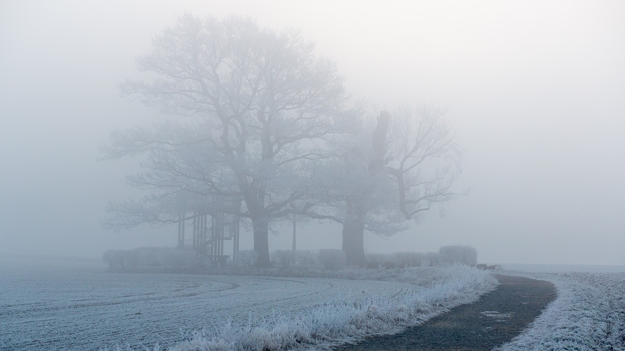 Winterwonderland - I try to be so cinematic as possible