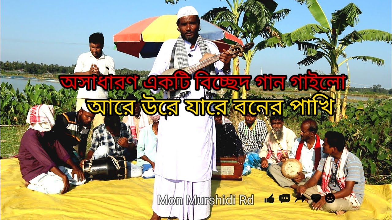 আরে উড়ে যারে বনের পাখি বিচ্ছেদ গান গাইল শিল্পী মাইনুল ইসলাম