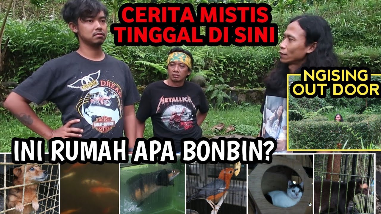 Review Rumah Hutan Dodit Mulyanto Dan Hewan Peliharaannya Serta Pengalaman Mistis Tinggal Disana