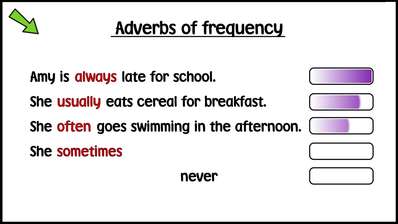 Harmonize Starter   Grammar Present Simple positive with Adverbs of Frequency Unit 3