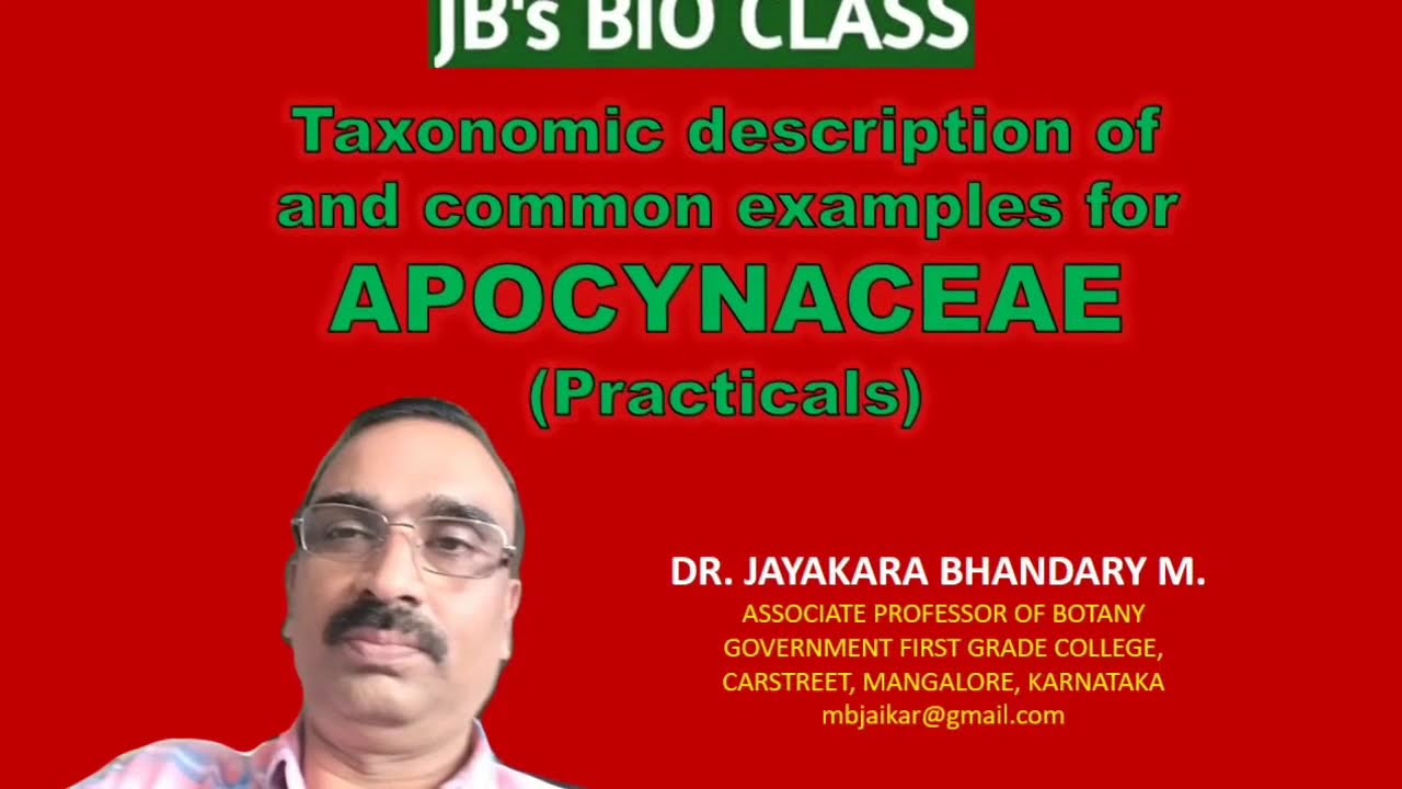 Apocynaceae - taxonomic features and common examples.