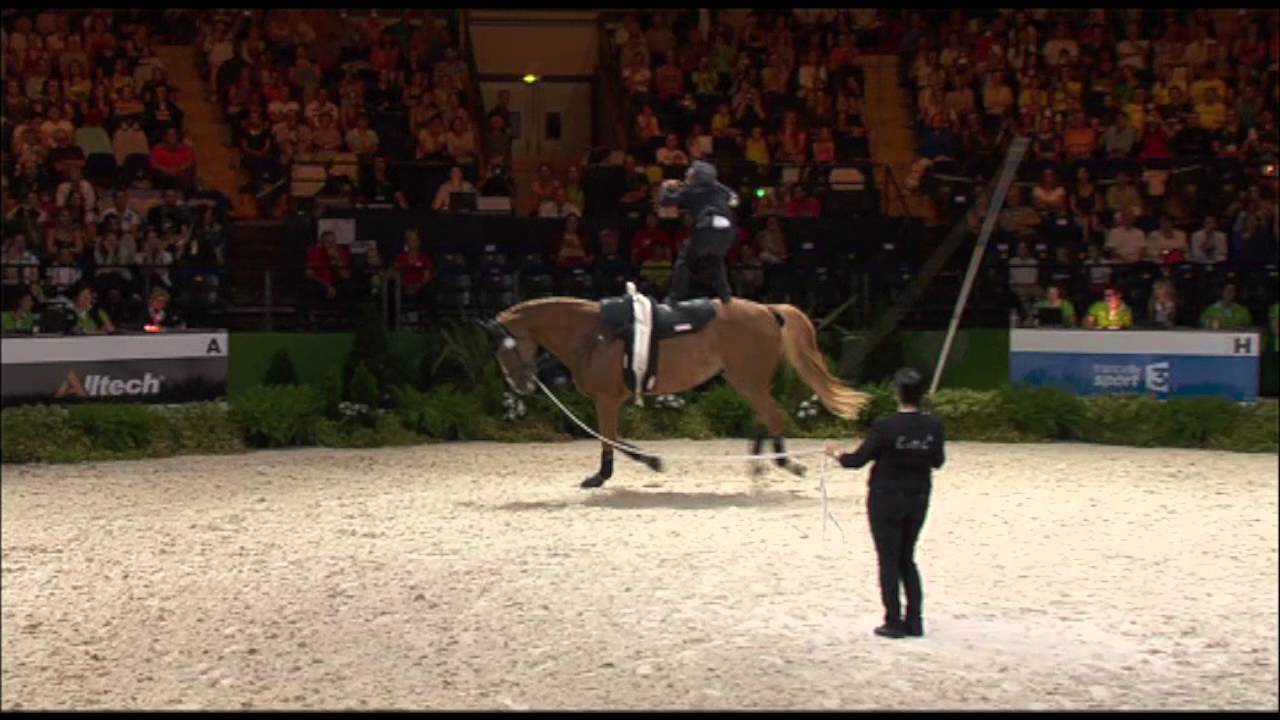 JEM 2014 : Nicolas Andreani aux épreuves de voltige