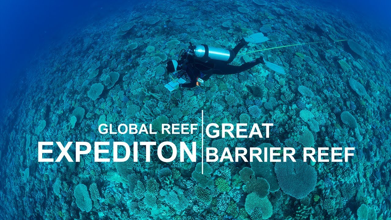Global Reef Expedition: Great Barrier Reef