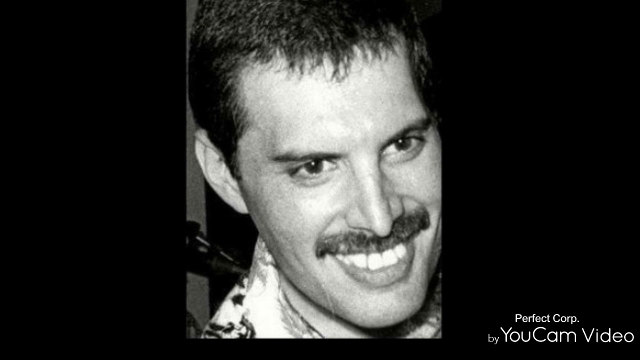 Freddie Mercury lives in our hearts everyday.❤