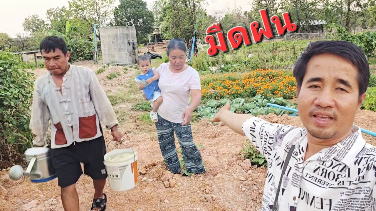 มืดฝน- ฟ้าร้อง.