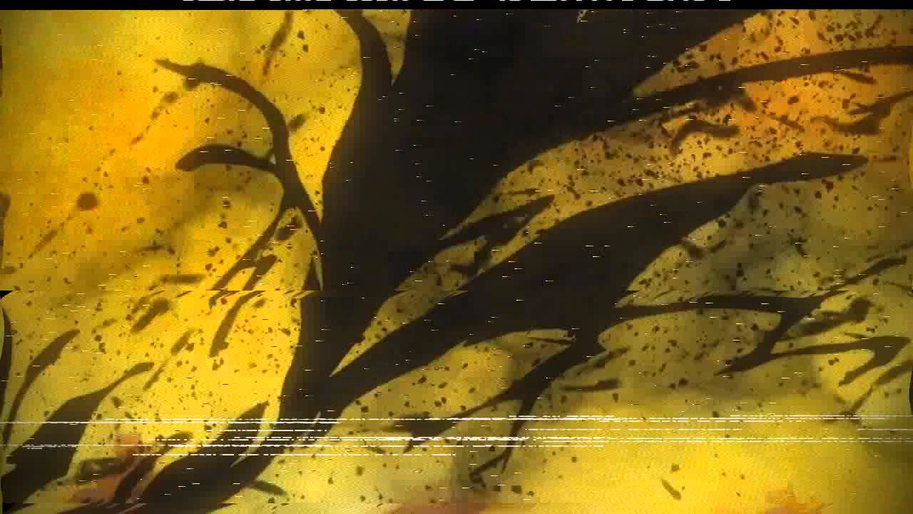 Black Banshee - Fall