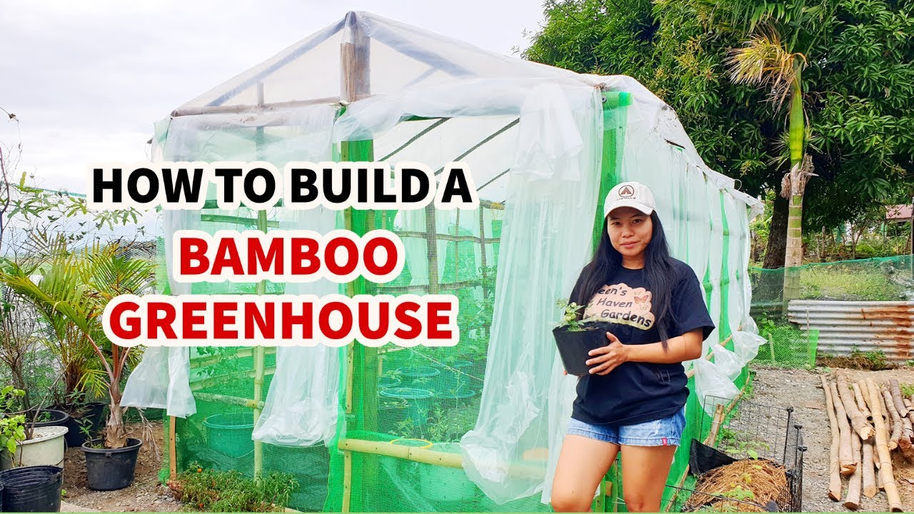 Improvise Greenhouse na Pang Low-budget pero Matibay | Making Low-budget Greenhouse made from Bamboo