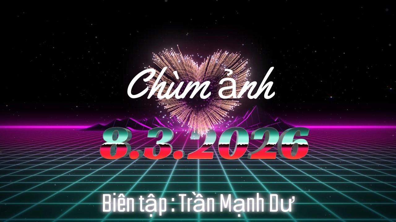 Chùm ảnh 8.3.2026 Chi hội Phụ nữ 12D - Phủ lý - Ninh bình
