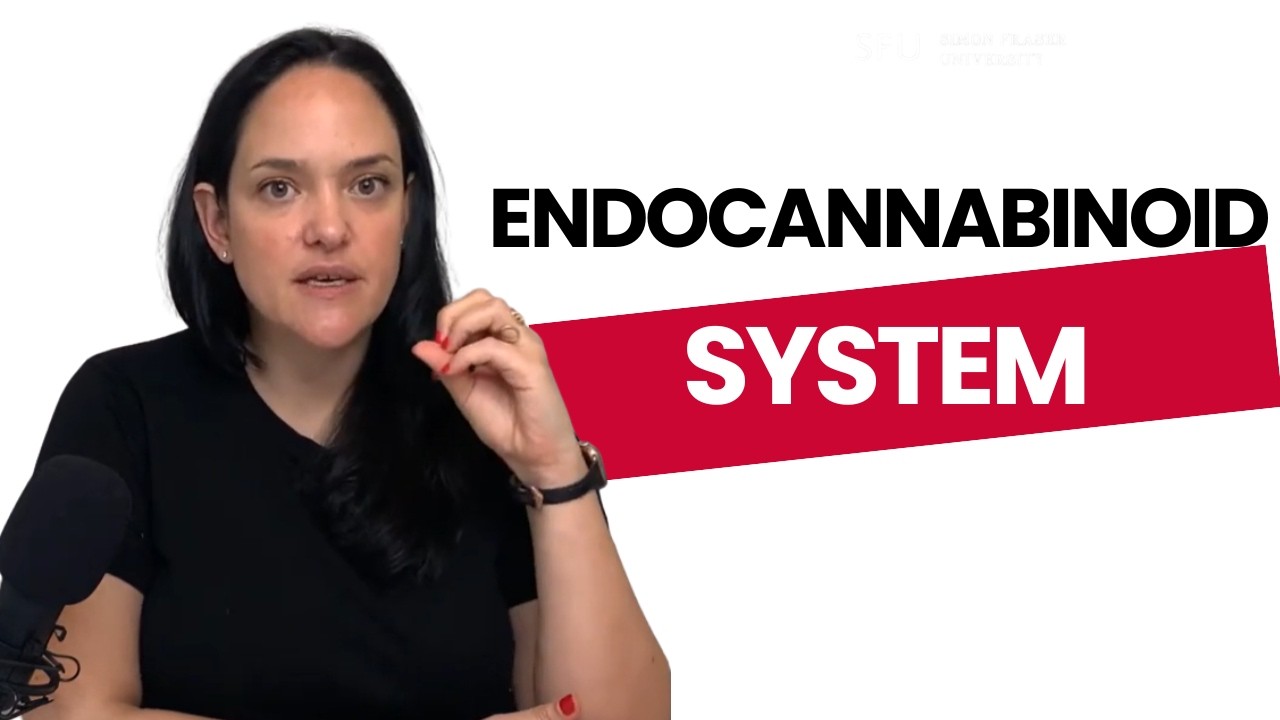 The Endocannabinoid System and Hedonic Appetite