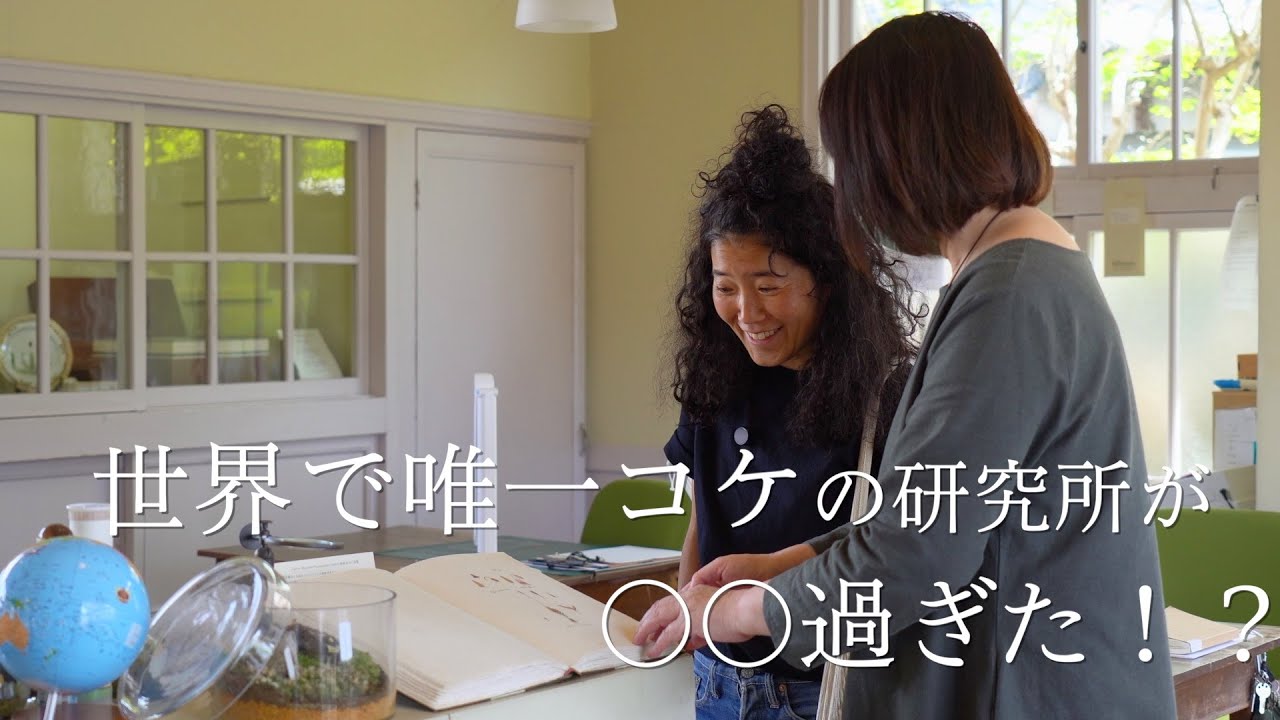 [宮崎・日南] 城下町飫肥にコケの研究所があるって知ってましたか？｜移住してはじめて飫肥城跡に行ってきた。