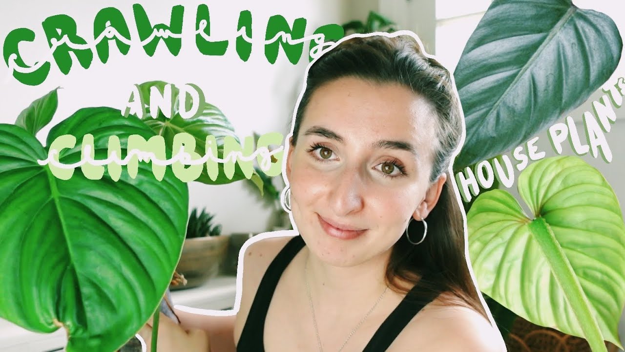 Favourite CRAWLING & CLIMBING Rare Plants!?