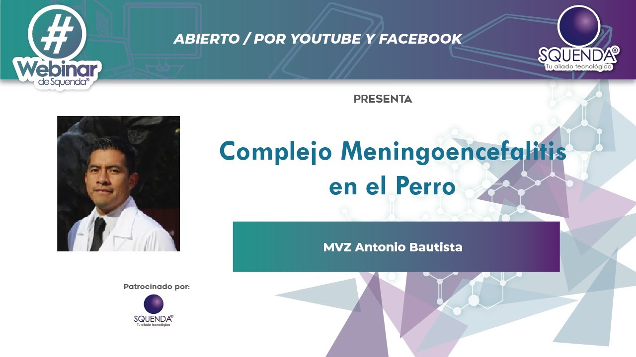 Complejo Meningoencefalitis En El Perro - MVZ Antonio Bautista