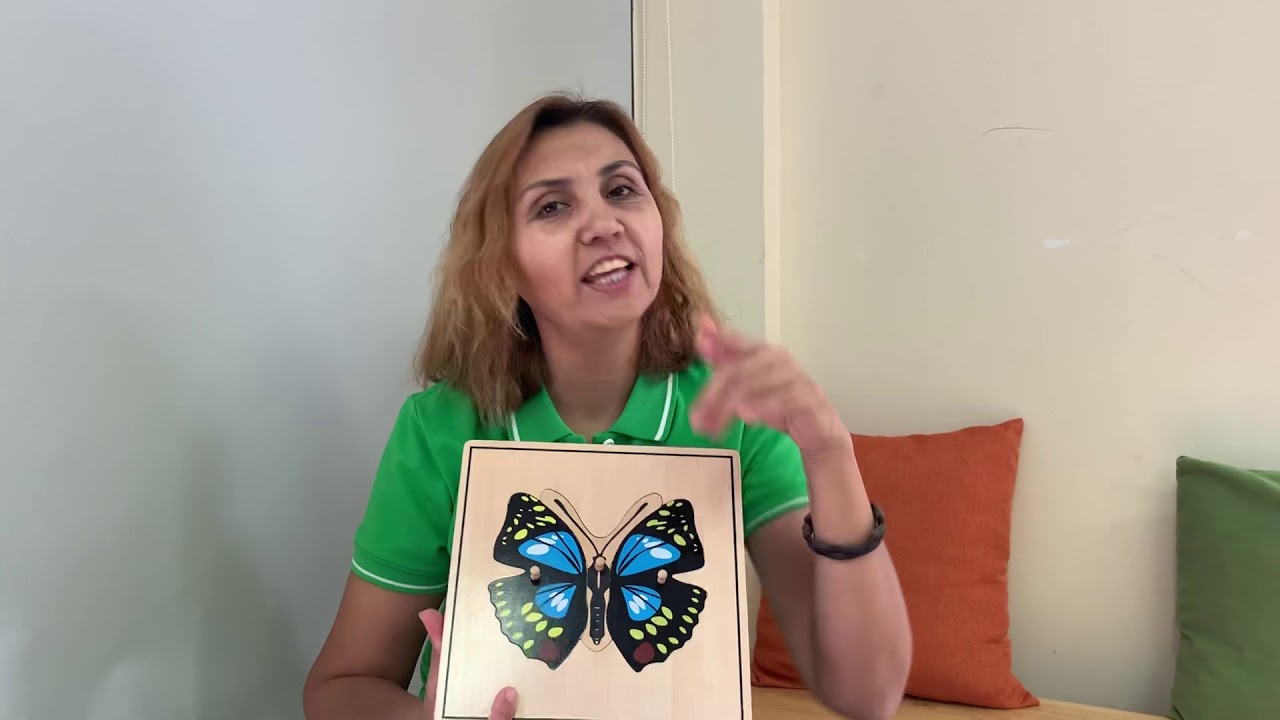 Butterfly life cycle, Montessori