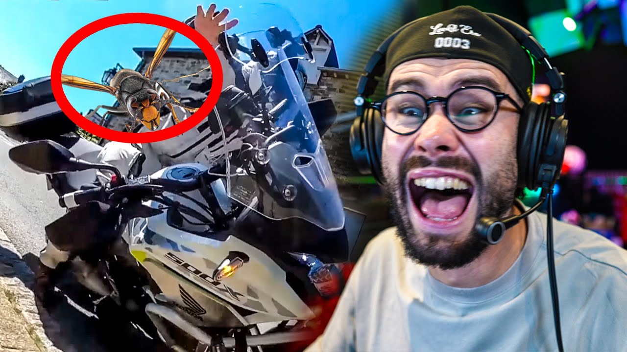 IL TOMBE A CAUSE D'UN FRELON DANS SON CASQUE ! (React Motos)