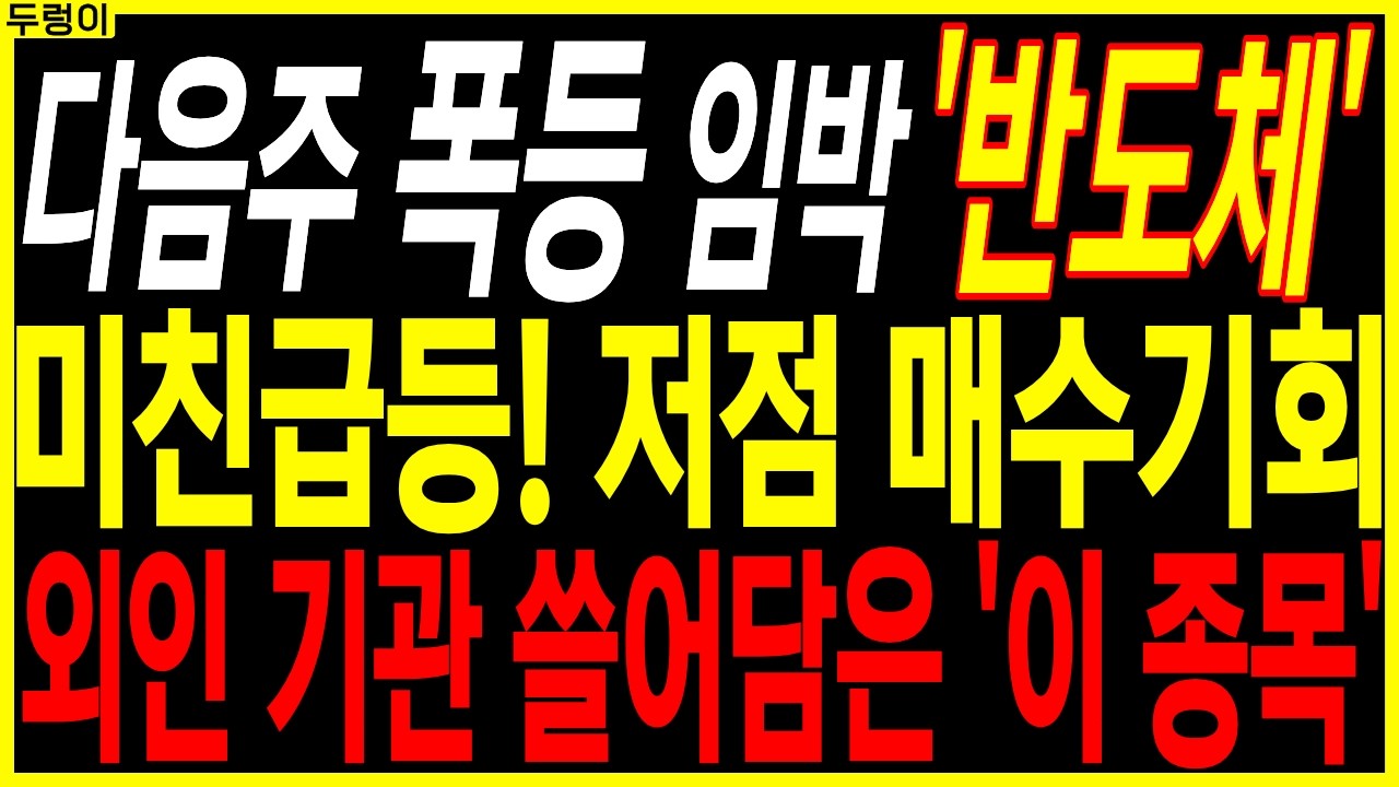 🌱반도체 대장주 주가전망🌱미친급등! 저점 매수기회 외인 기관 쓸어담은 '이 종목' | 디에스경제속보 두렁이