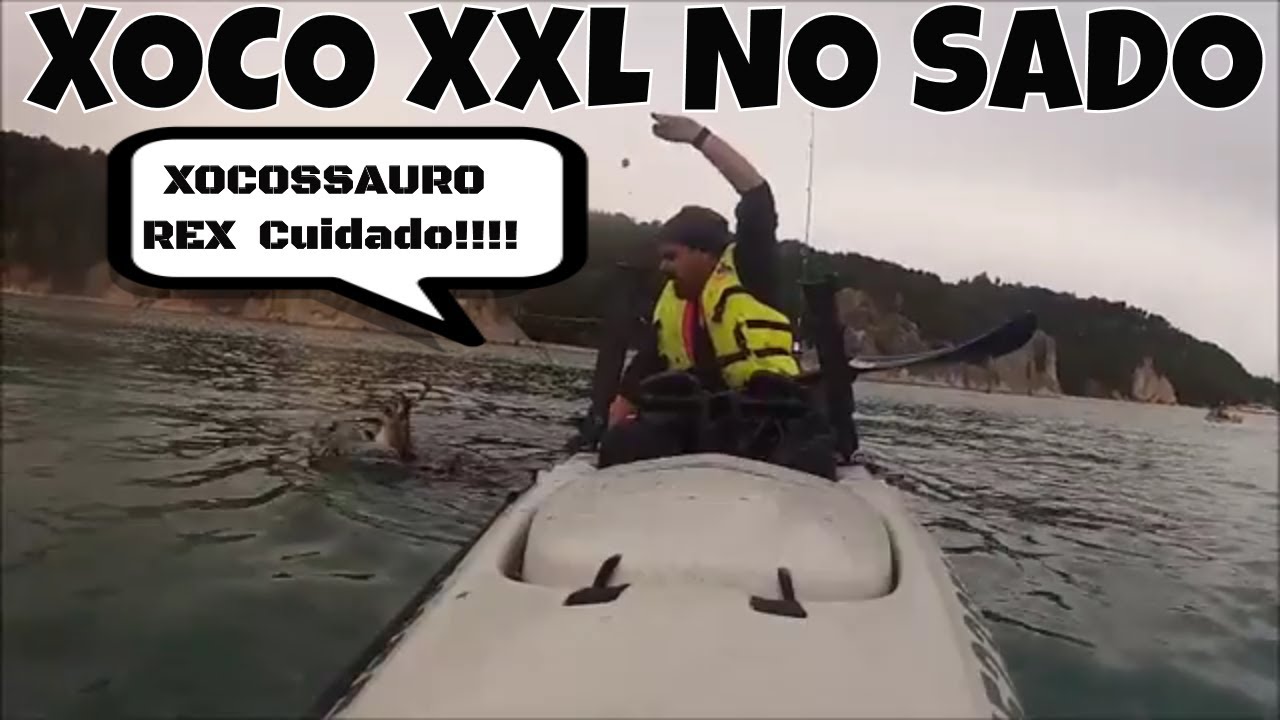 Pesca ao Choco a diversão do sado