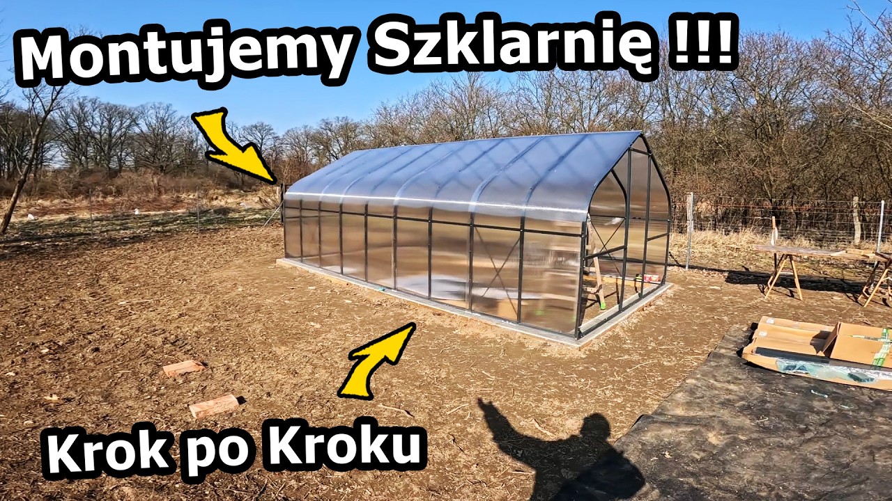 Szklarnia na Siedlisku !!! – Aluminiowa szklarnia 3 × 6 m od PTF Polska | Jak ją złożyć? (#1151)