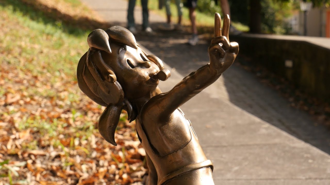 Jugend-Pine kehrt zurück