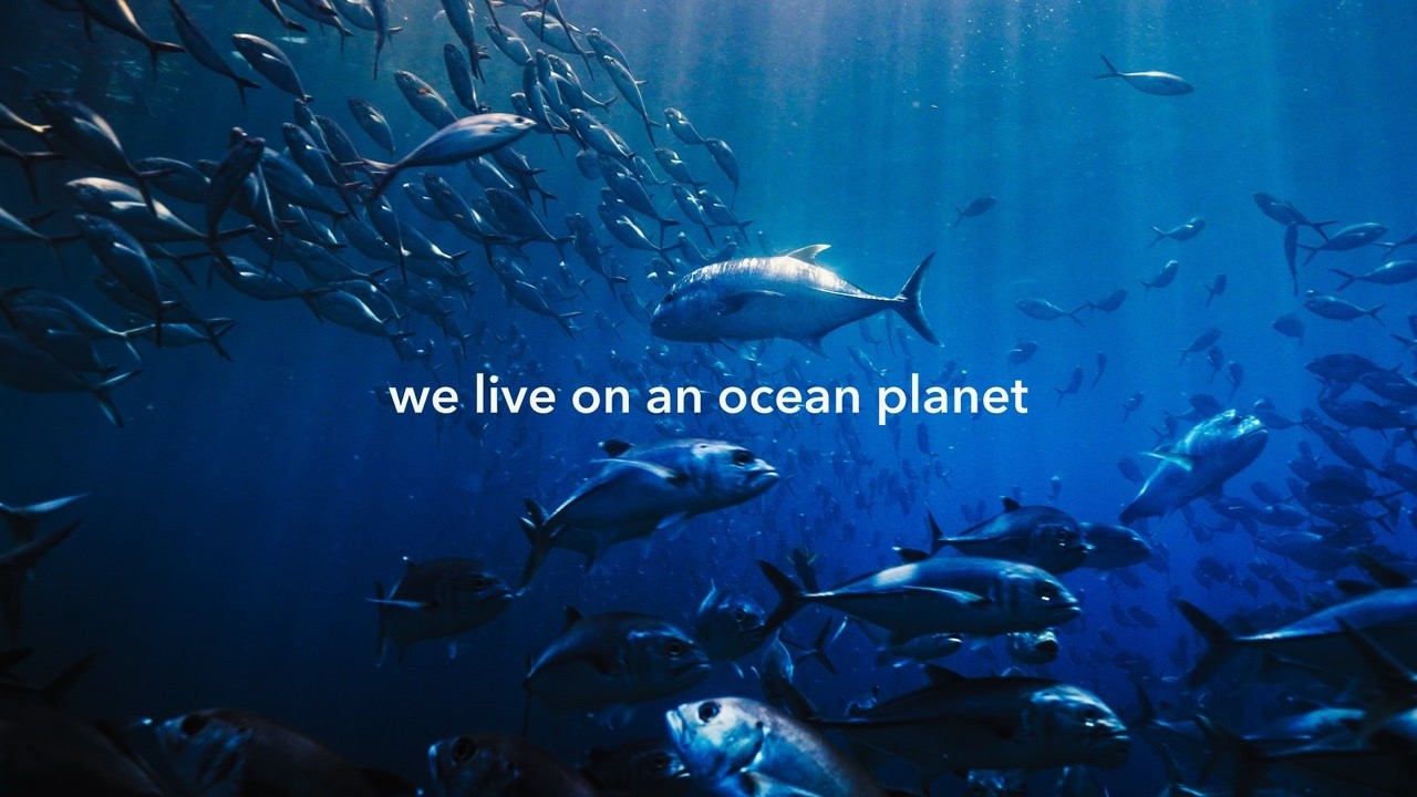 We live on an ocean planet - Go Ocean 2026