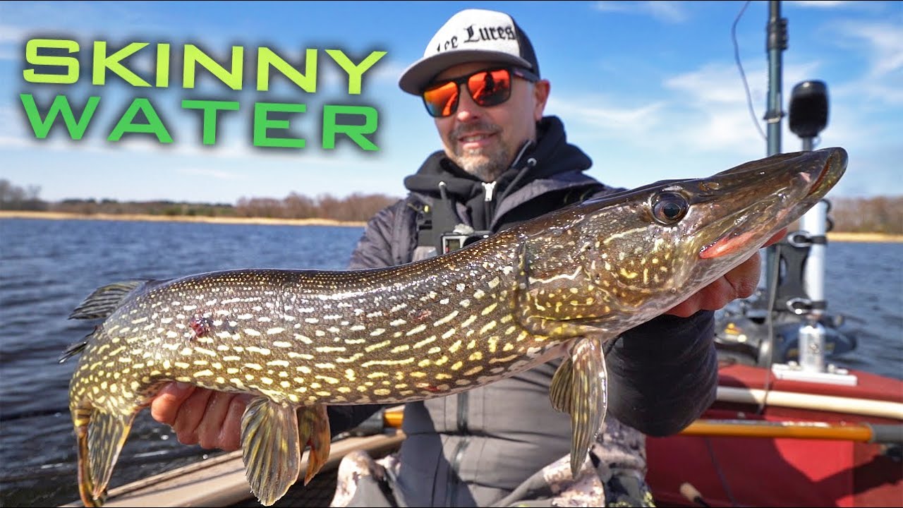 Fishing ULTRA SHALLOW Water For Spring Northern Pike
