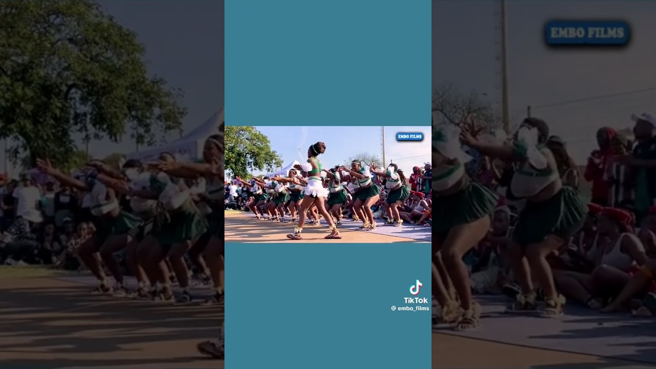 BEST DANCES IN THE WORLD #africa #culture #world