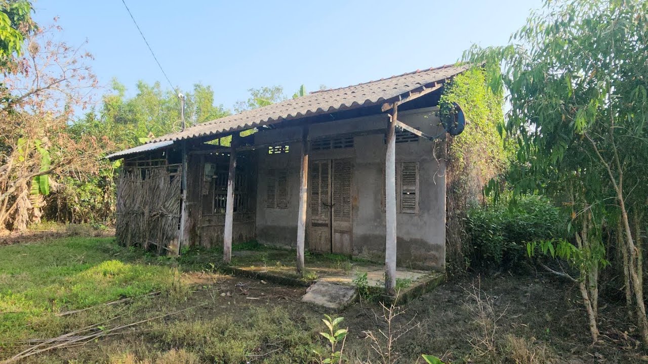 Quan tàn cảnh nhà hoang chú bỏ nhiều năm mà cũng chẳng thấy về