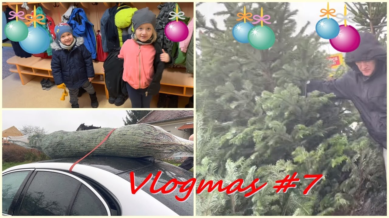 ❄ Vlogmas #7 | Kupujeme stromeček ❄️