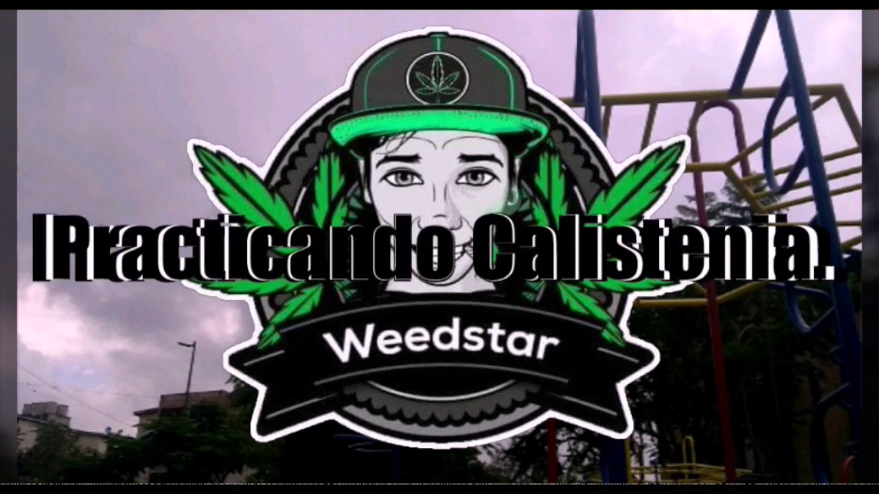 Mi rutina de Street Workout Calistenia.