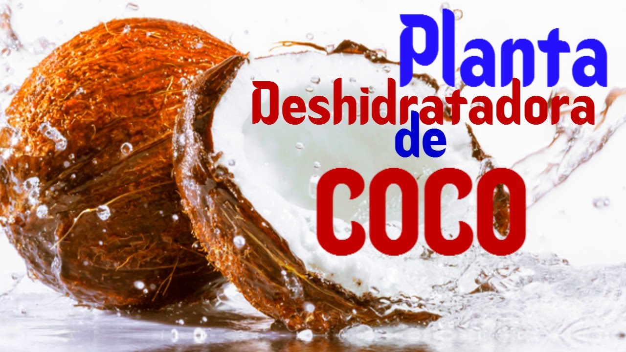 Planta deshidratadora de Coco