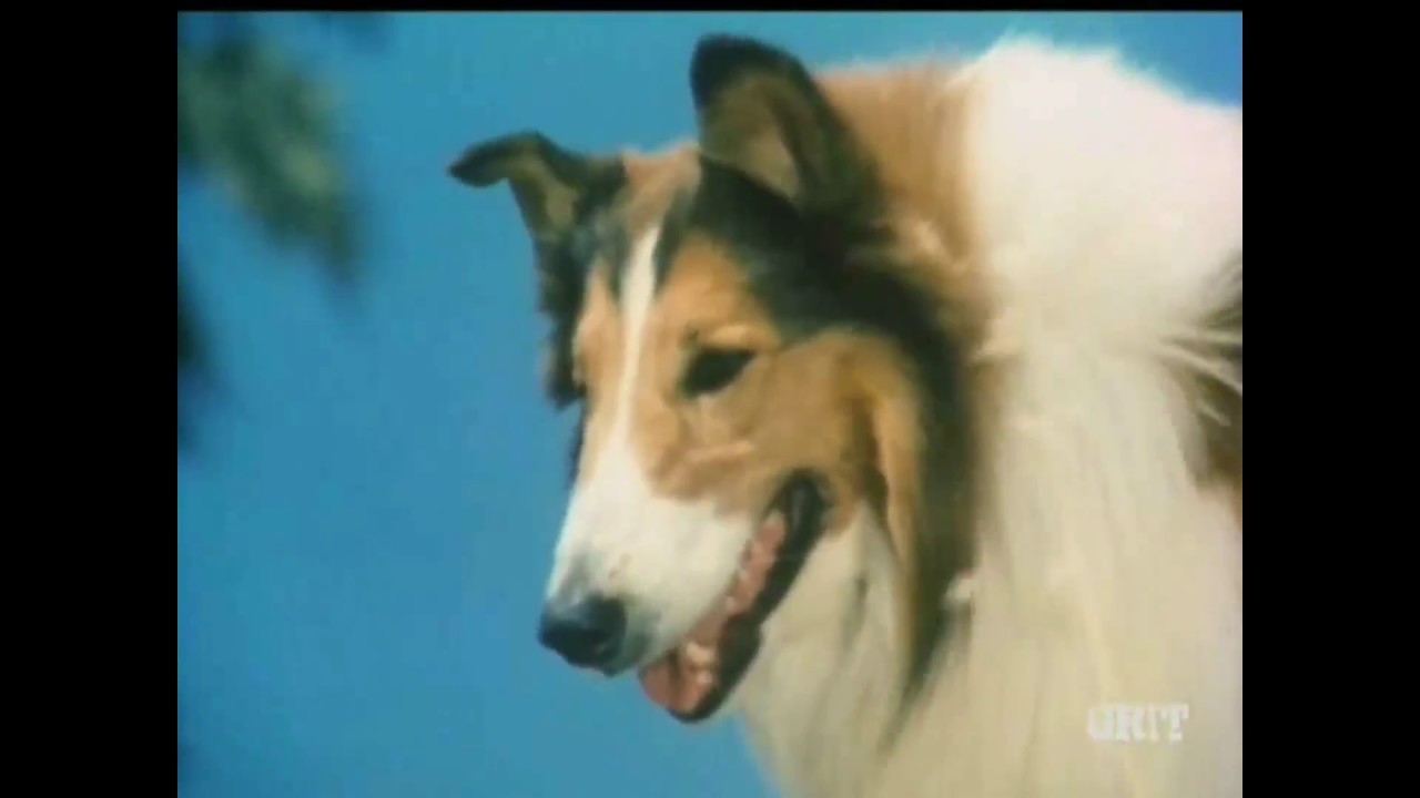 Lassie - Episode 571-572 - 