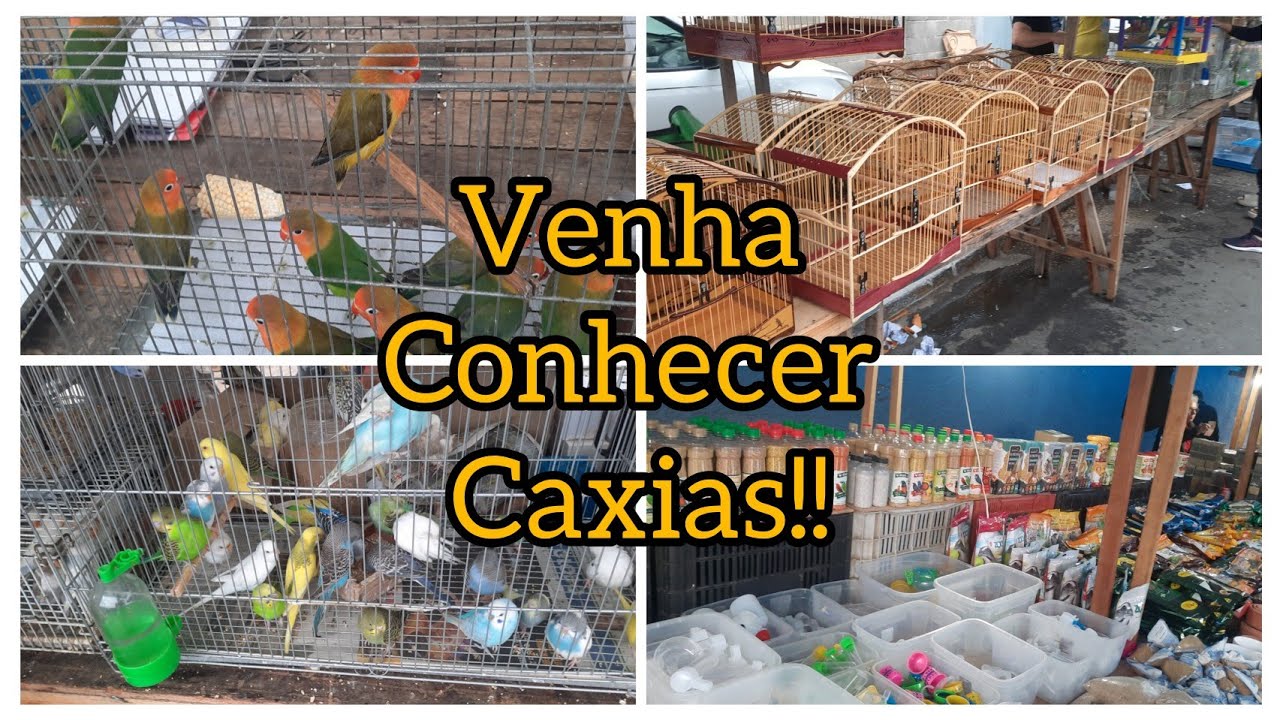 Caxias RJ feira pra economizar venha conhecer. 