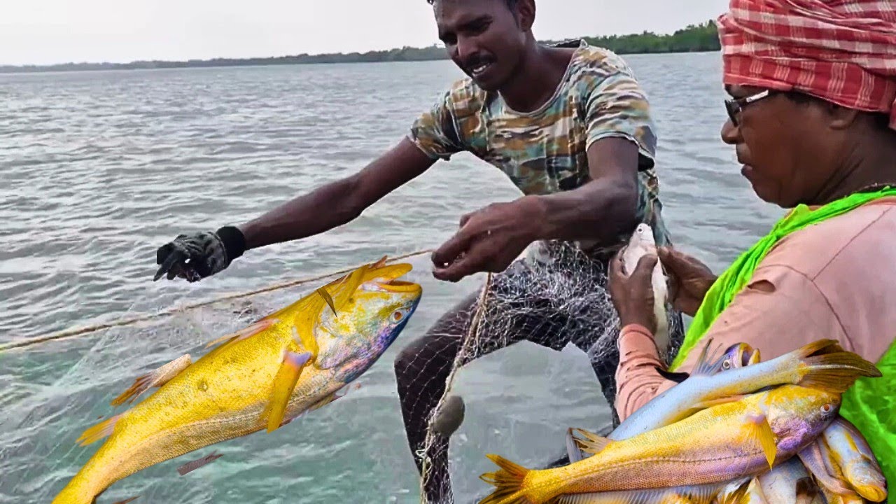 সামুদ্রিক পোয়া মাছ শিকার । Sundarban fishing । fishing video @Tradi-food Sundarban